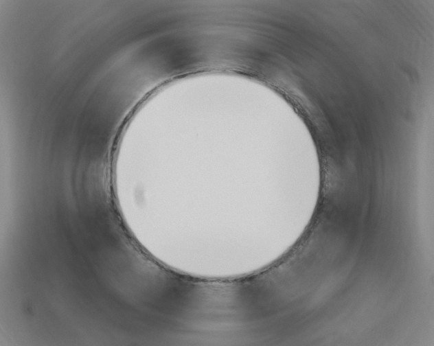 X0000113980836200910020947