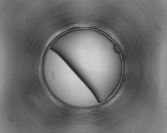 X0000113980837200910020947