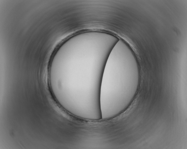 X0000113980840200910020947