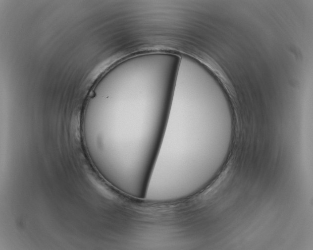 X0000113980842200910020947