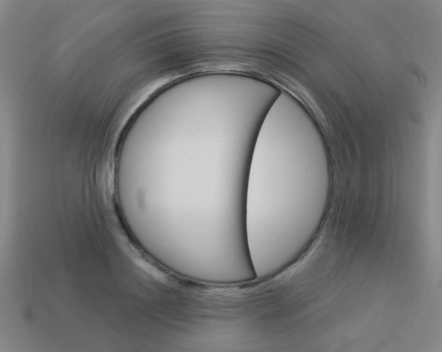 X0000113980844200910020947