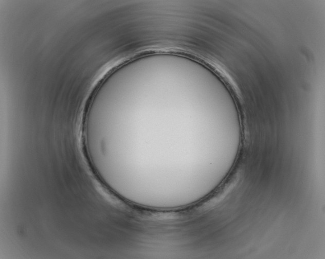 X0000113980845200910020947
