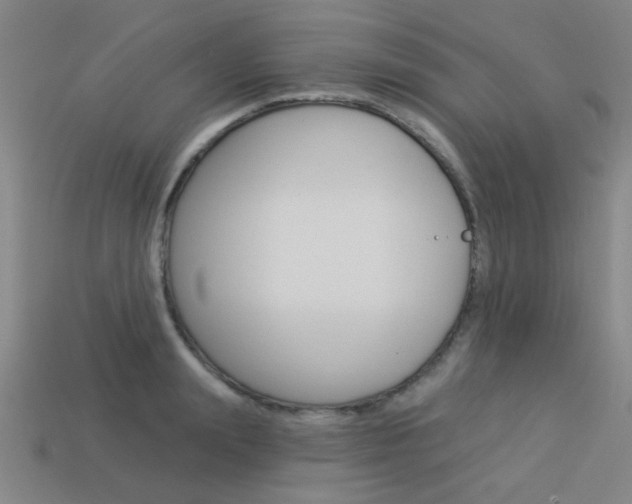 X0000113980847200910020947