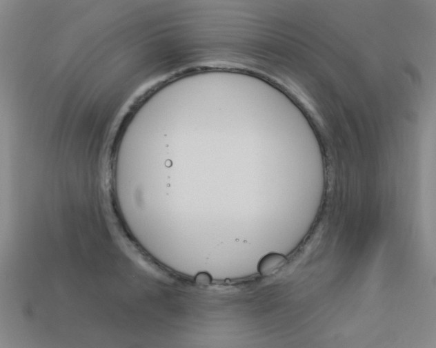 X0000113980848200910020947