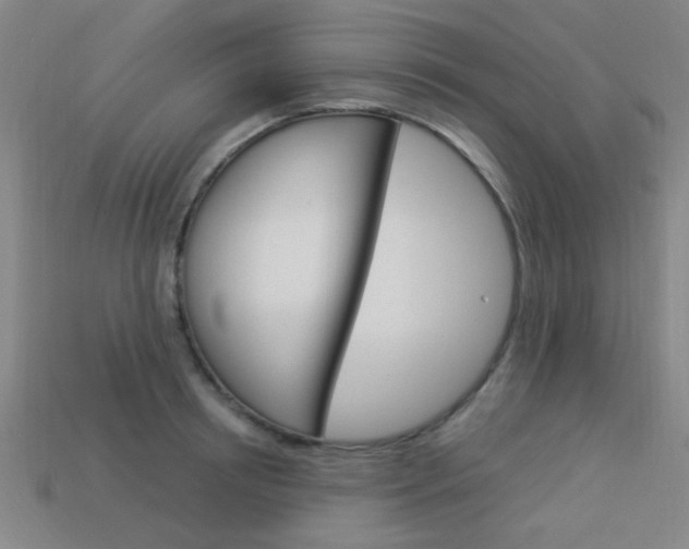 X0000113980850200910020947