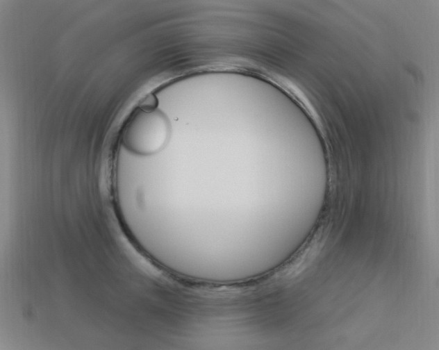 X0000113980851200910020947