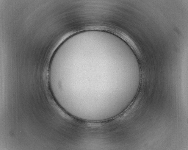 X0000113980852200910020947