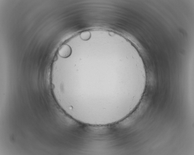 X0000113980856200910020947