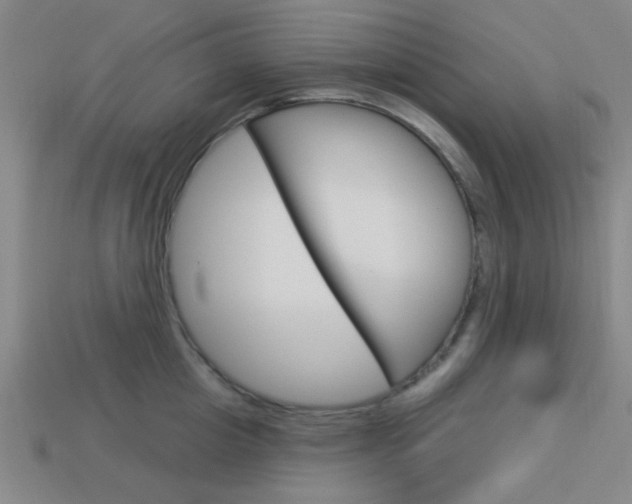 X0000113980857200910020947