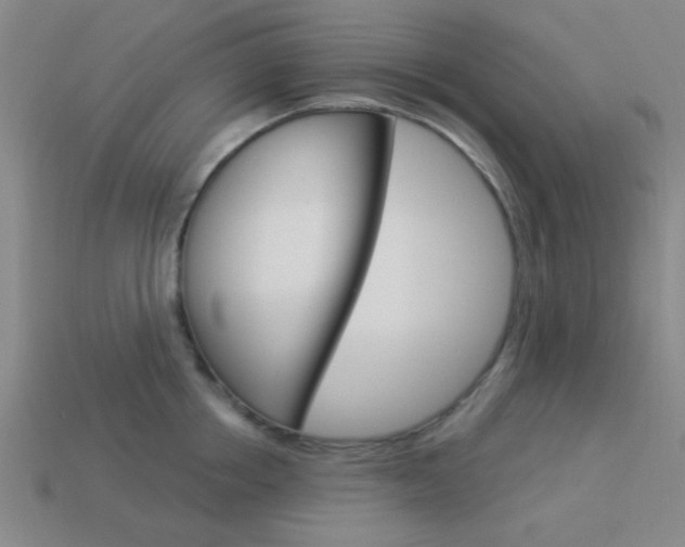 X0000113980858200910020947