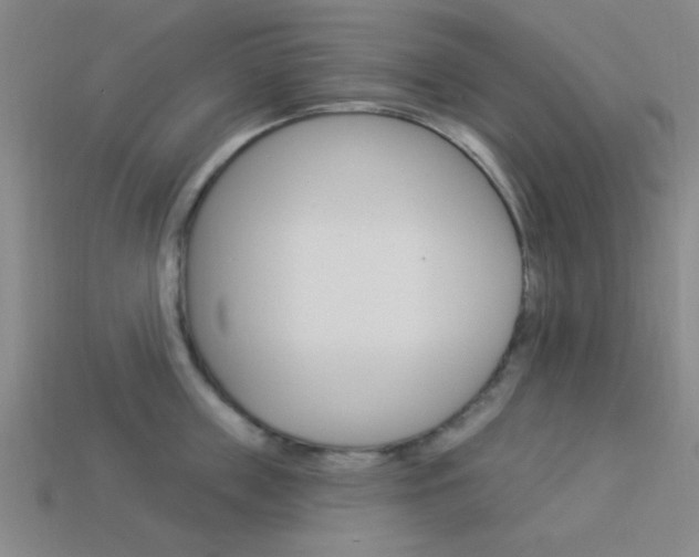 X0000113980859200910020947