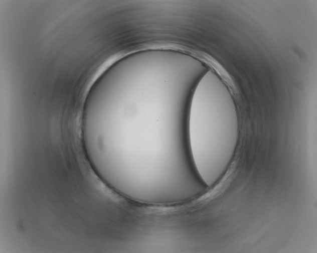 X0000113980860200910020947