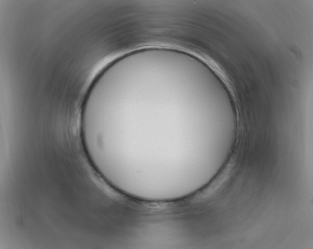 X0000113980862200910020947