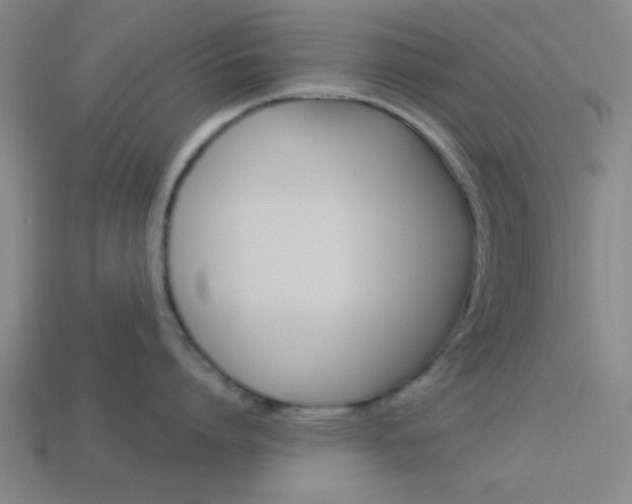 X0000113980864200910020948