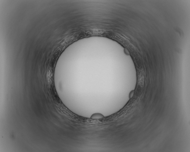 X0000113980866200910020947