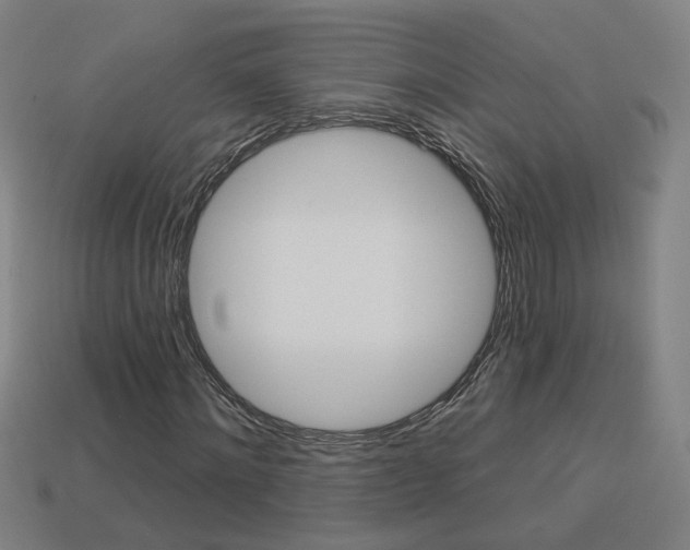 X0000113980868200910020947