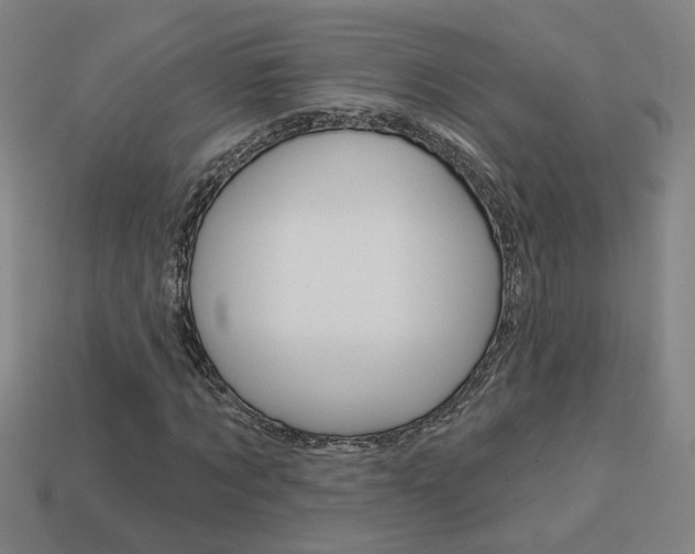 X0000113980869200910020947