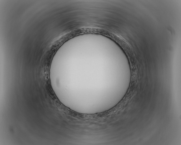 X0000113980870200910020947