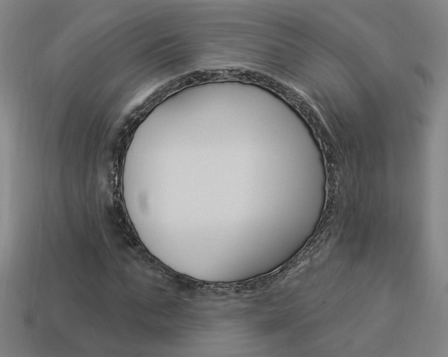 X0000113980871200910020947