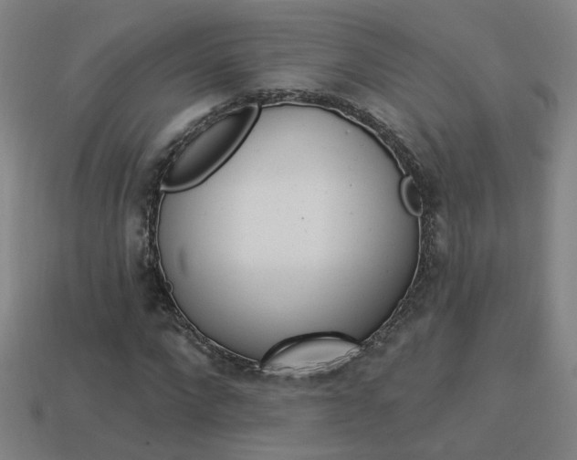 X0000113980872200910020947