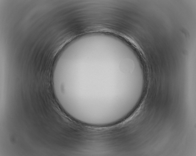 X0000113980873200910020947