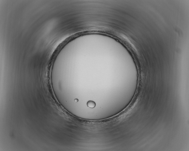 X0000113980875200910020947