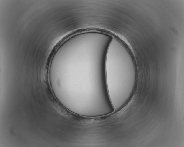 X0000113980879200910020947