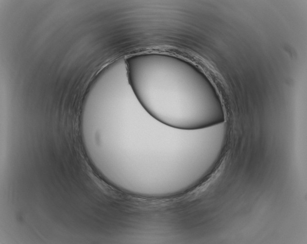 X0000113980881200910020947