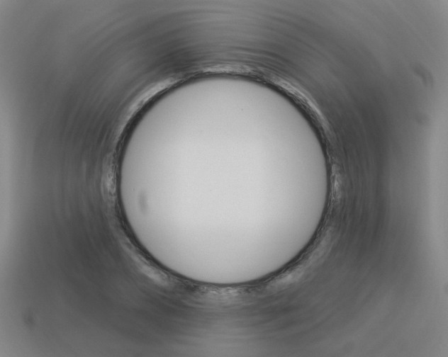 X0000113980882200910020947