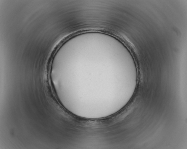 X0000113980883200910020947