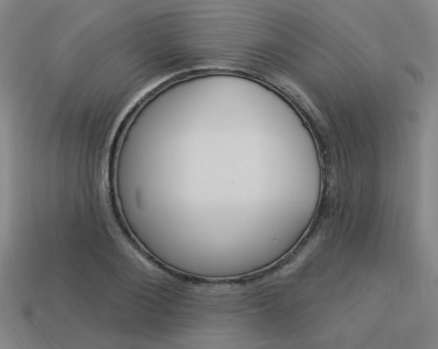 X0000113980884200910020946