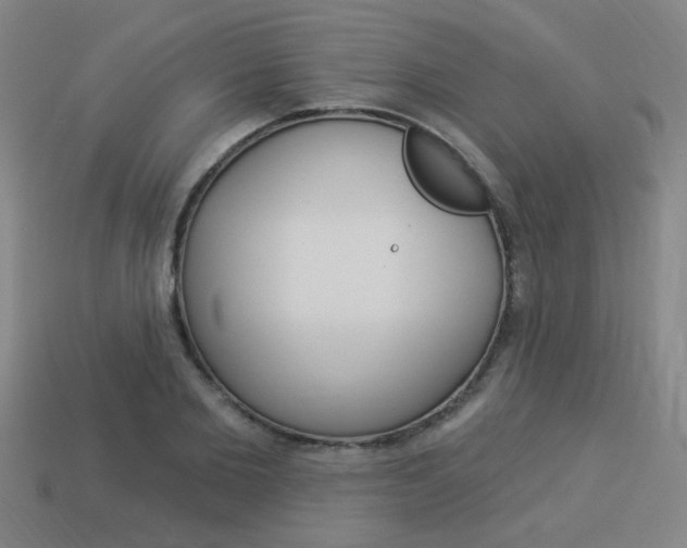 X0000113980885200910020946