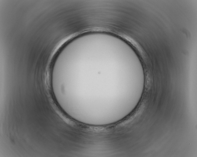 X0000113980886200910020946