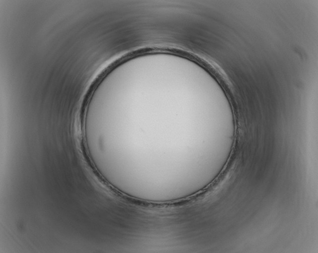 X0000113980887200910020946