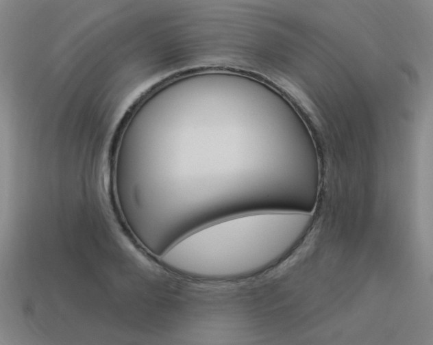 X0000113980888200910020946