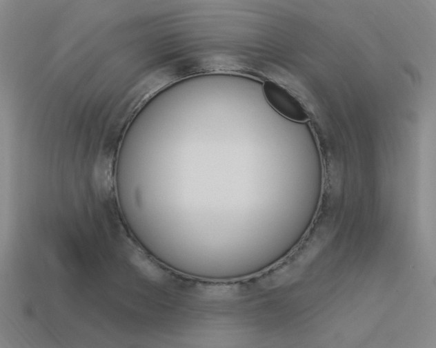 X0000113980889200910020946