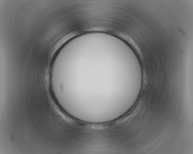X0000113980890200910020946