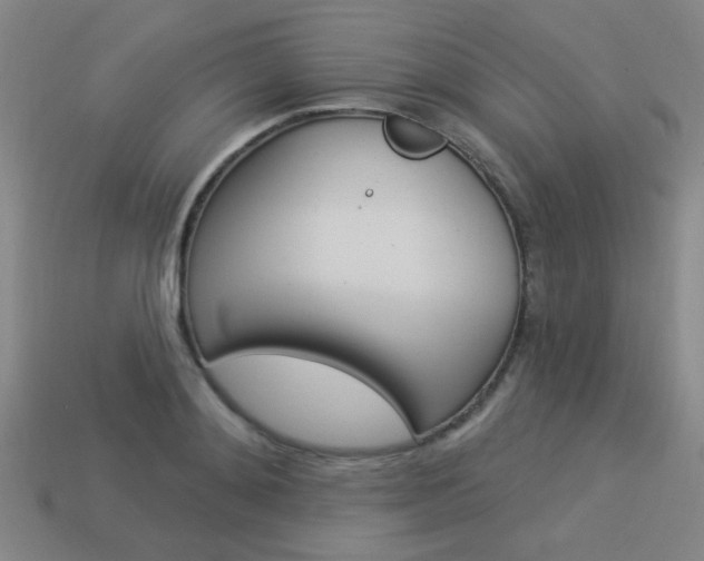 X0000113980892200910020946