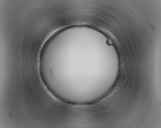 X0000113980894200910020946