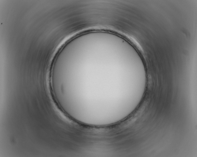 X0000113980895200910020946