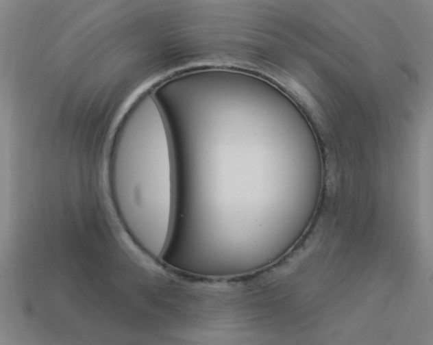 X0000113980896200910020946