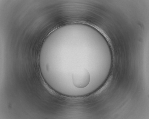 X0000113980897200910020946
