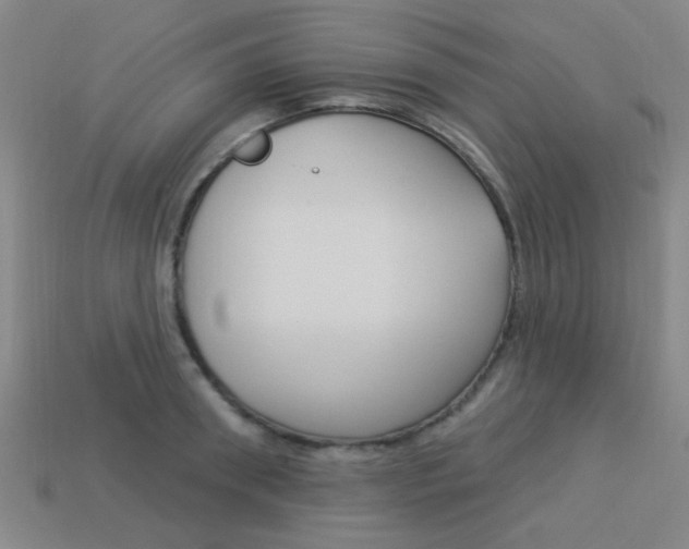 X0000113980898200910020946