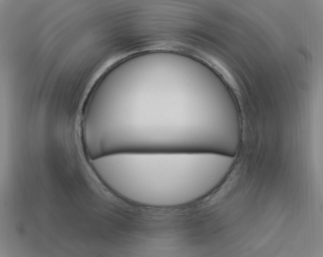 X0000113980899200910020946