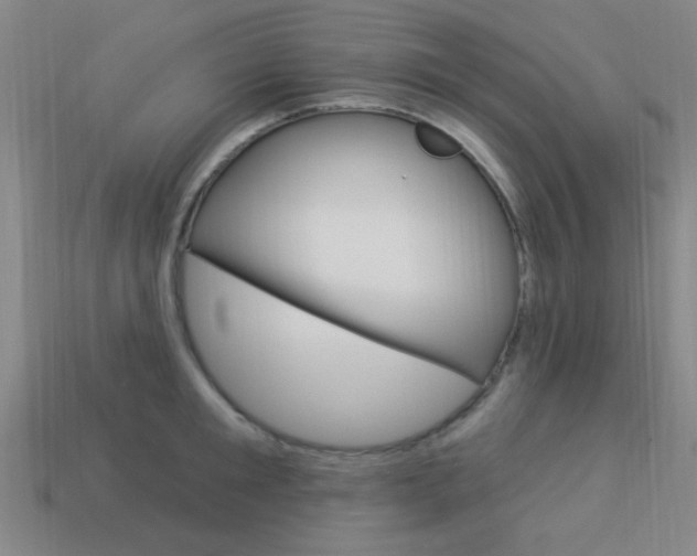 X0000113980901200910020946