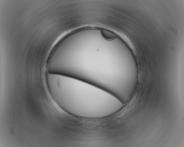 X0000113980903200910020946