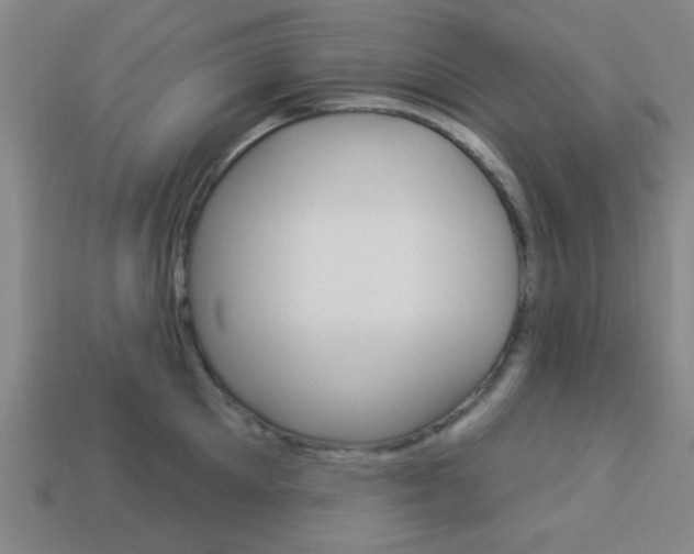 X0000113980905200910020946