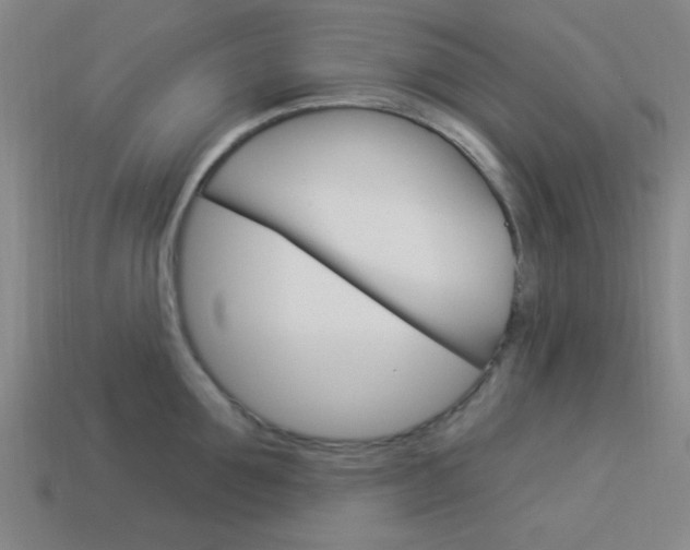 X0000113980907200910020946
