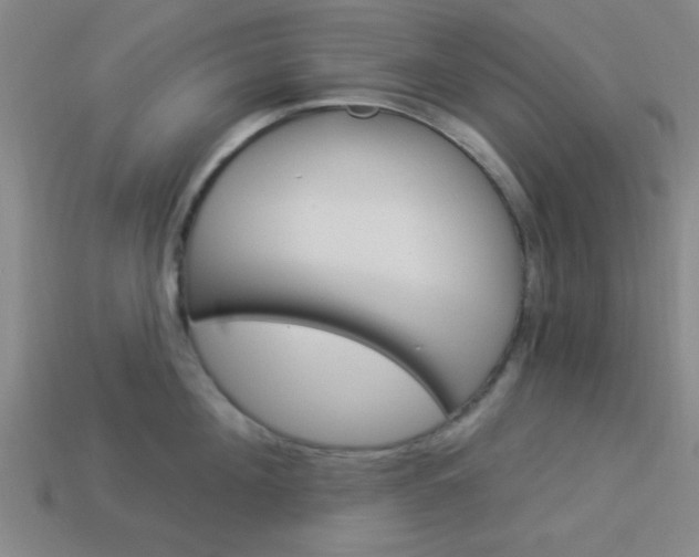 X0000113980908200910020946