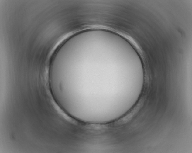 X0000113980910200910020946